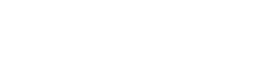 Shopify partners